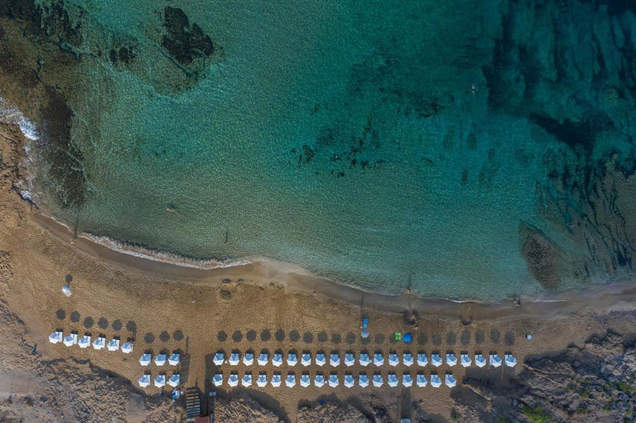 Regina Gardens Lovely Apartment Paphos Ngoại thất bức ảnh